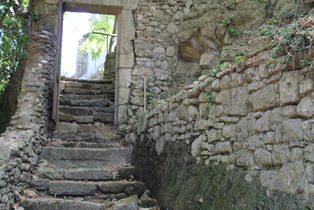 L'Ecrin D'Osely Lodeve Exterior photo
